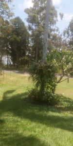Coochiemudlo Island - Photo 3