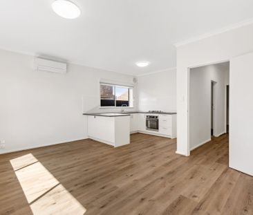 Renovated Delight! - Photo 2