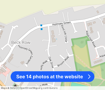 Birch Walk, Beck Row - Photo 1