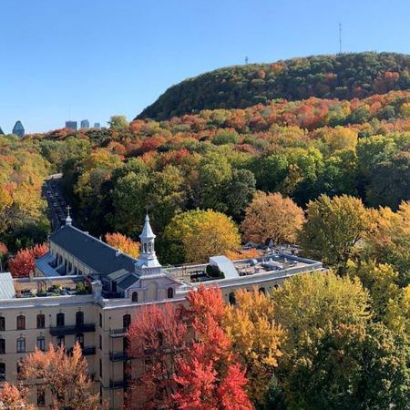 Outremont 3 1/2 et 4 1/2 – Chauffage, Balcon & Piscine inclus - Photo 4