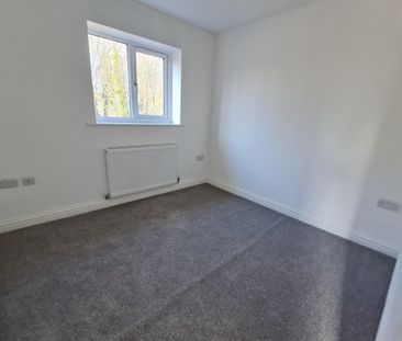 Thompson Terrace - Photo 3