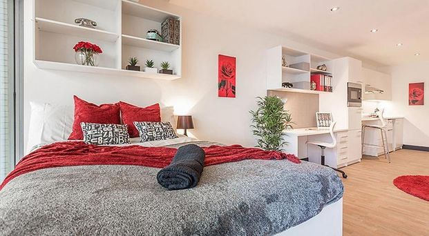 Studio to rent - Photo 1