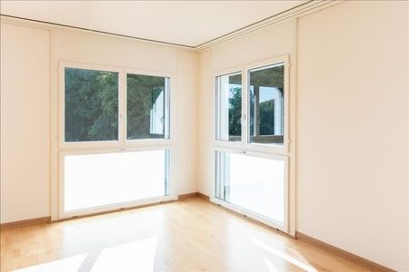 Magnifique penthouse en duplex avec vue sur le lac et grandes terrasses - Photo 5