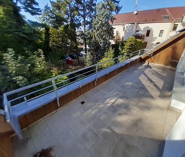 Klein-Fein mit sehr schöner Dachterrasse und kleiner Einbauküche - Photo 1