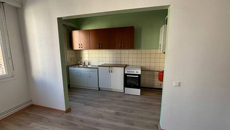 Charmant T3 au calme, dans un immeuble de 2 logements à Sarreguemines - Photo 3