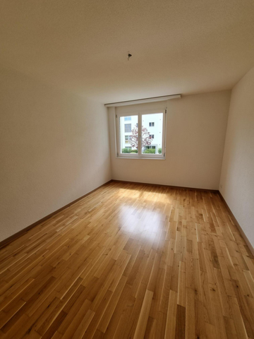 4.5 Zimmer Erdgeschoss Wohnung in Stein zu vermieten! - Foto 3