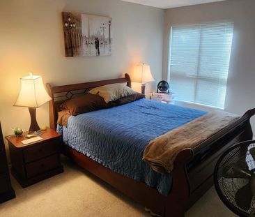 Big, Ground Floor 1 bed + den at Waterscapes - Photo 5