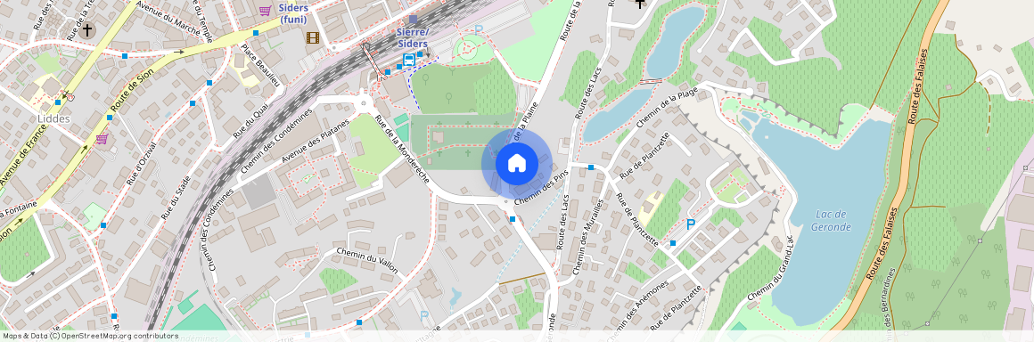 Route de la Plaine 21, 3960 Sierre