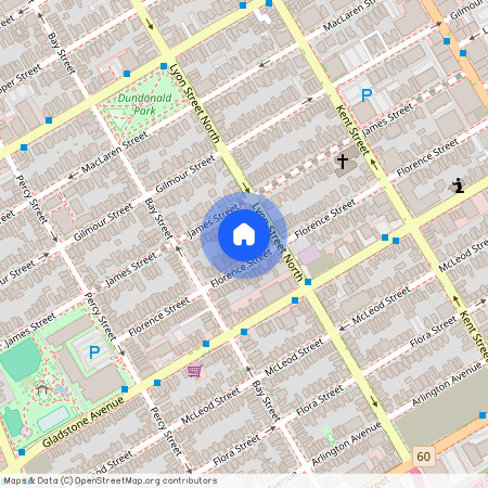 165 Florence Street, 3, Ottawa, ON K1R 5N3