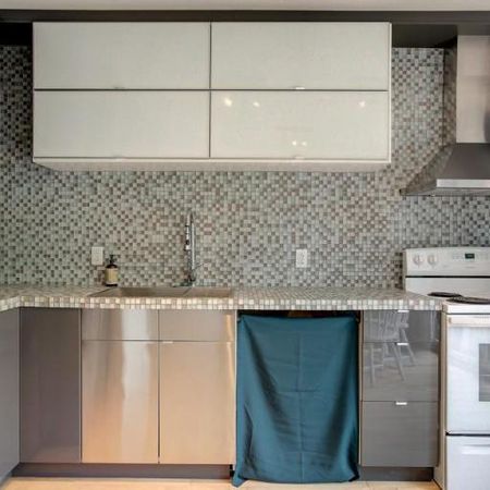 3 1/2 - Montréal (La Petite-Patrie) - 1 400 $/mois - Photo 3