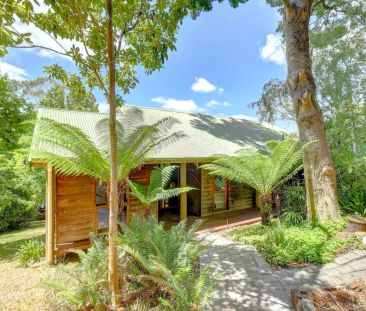 Tranquil Hills Living Surrounded by Nature - Photo 4