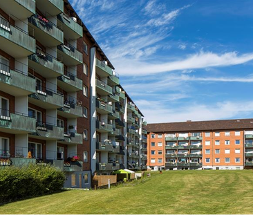 Kurirgatan 8 C - Photo 3