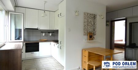 Żywiec, - Фото 4