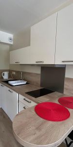 Location Appartement 1 pièce 32m² CHEVIGNY ST SAUVEUR 21800 - Photo 3