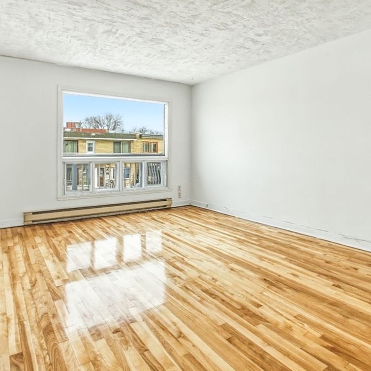 7336 8e Avenue, H2A 3C9, H2A 3C9, Montréal - Photo 1