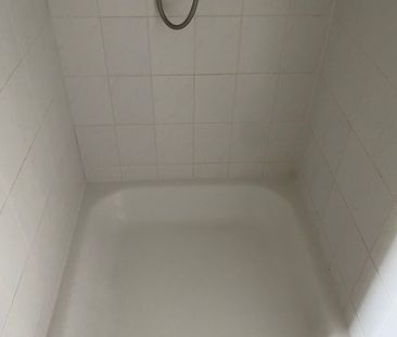 Hermelijnvlinder 49, Vlindertuin, 1113LC, Diemen - Foto 5