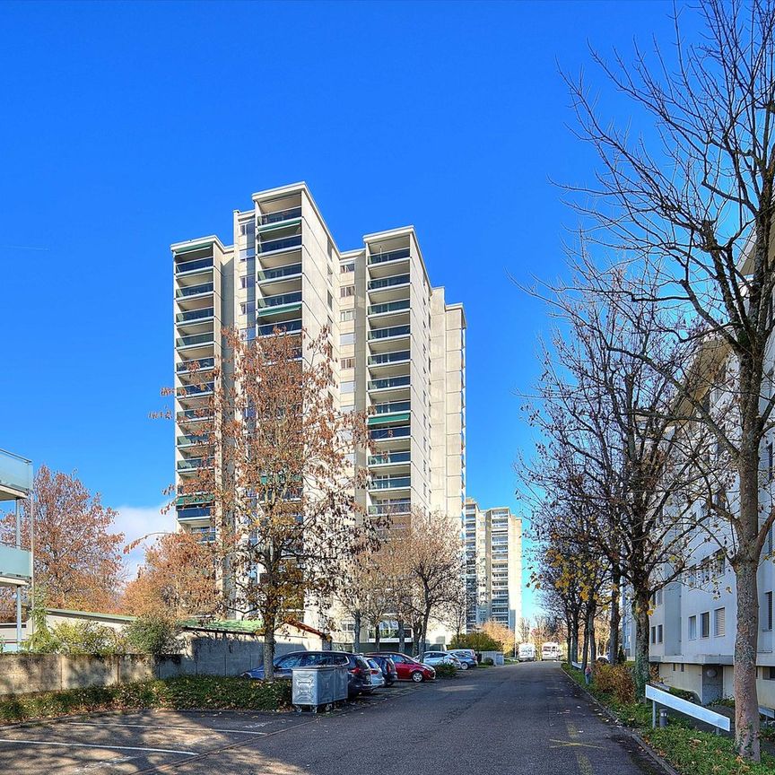 3.5 Zimmer, 77 m², 13. Stock - Foto 1