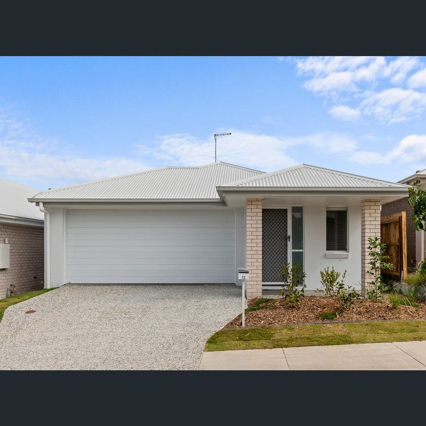 11 Vicki Street, Redbank Plains, Qld 4301 - Photo 1