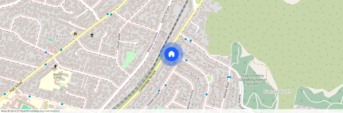 103 Hewer Crescent, Naenae, Lower Hutt