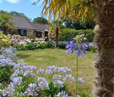 1 bedroom bungalow to rent - Photo 5
