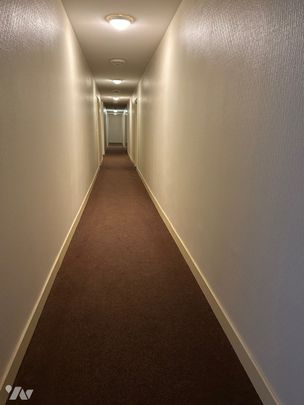 Appartement - Photo 1