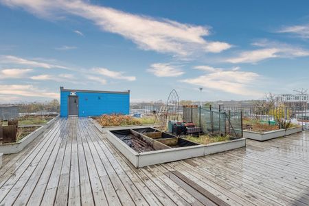 Appartement à louer - Montréal (Mercier/Hochelaga-Maisonneuve) (Hochelaga-Maisonneuve) - Photo 5