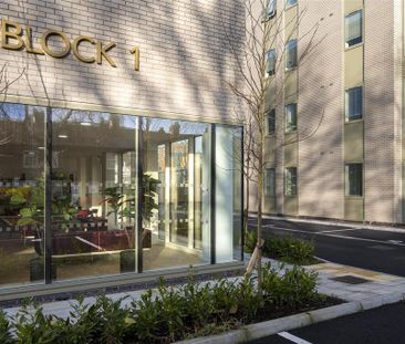 Studio to rent - Photo 6