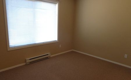 5515A Rutherford Road – Lower - Photo 3