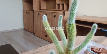 Rybnik, Centrum Mieszkanie na wynajem - Zdjęcie 2