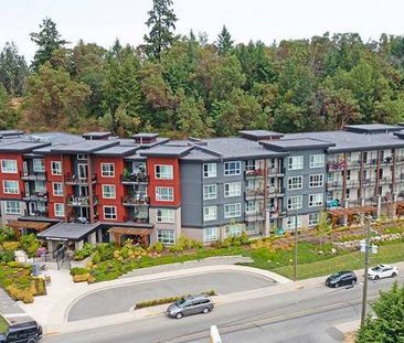 2/BD 2/BA, Luxury Vinyl Plank Flooring, In Nanaimo - Photo 1