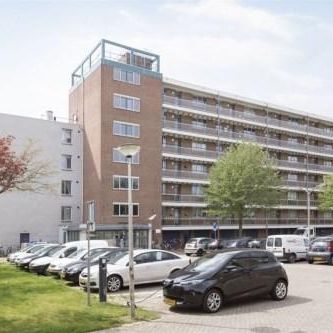 Lijsterstraat, 3815 DS Amersfoort, Nederland - Foto 3