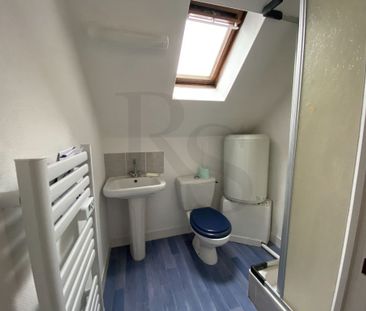 Location Appartement 1 pièce 19m² - Photo 3