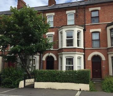 Room 4 22 Cliftonville Avenue, Belfast, BT14 6BX - Photo 3