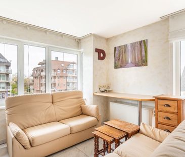 Campanula - 01.02 - Foto 1