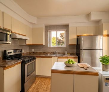 6825 Boul. Pie IX, Montréal (Rosemont, QC H1X - Photo 5