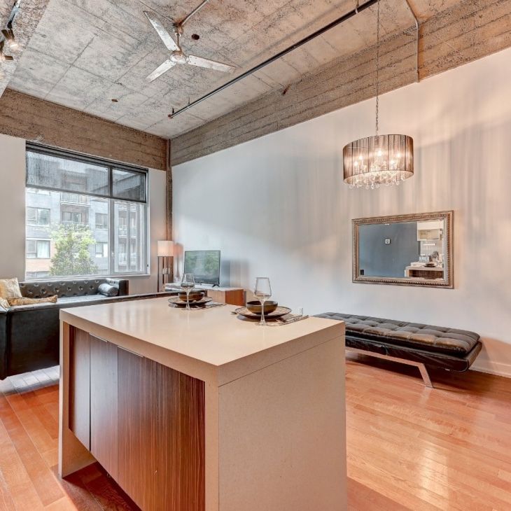 Appartement à louer - Montréal (Mercier/Hochelaga-Maisonneuve) (Hochelaga-Maisonneuve) Appartement à louer - Montréal (Mercier/Hochelaga-Maisonneuve) (Hochelaga-Maisonneuve) - Photo 1