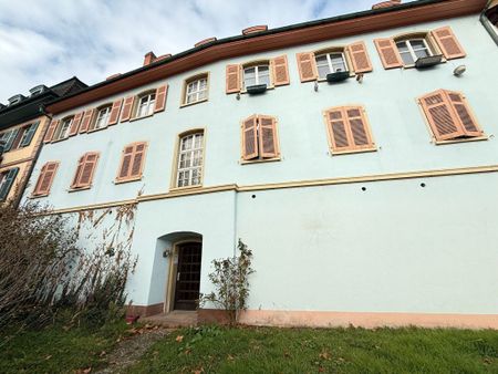 Appartement Turckheim 1 pièce(s) 42 m2 - Photo 5