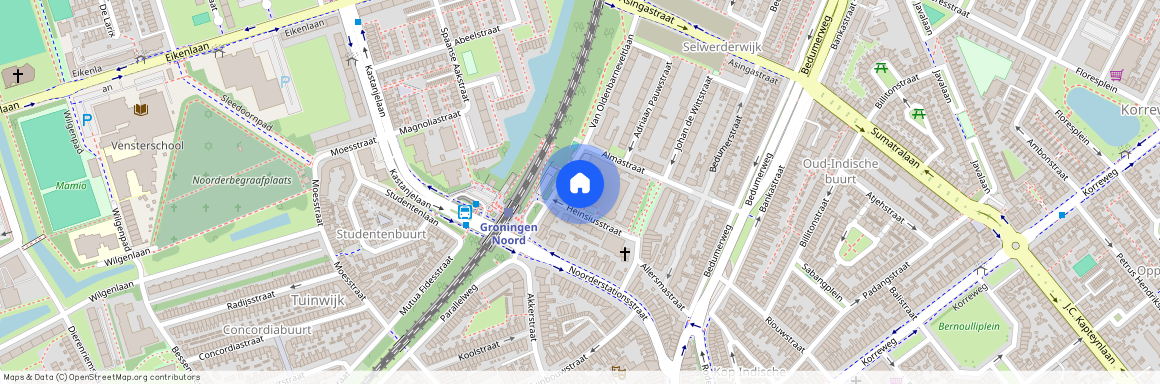 Heinsiusstraat 133, Groningen