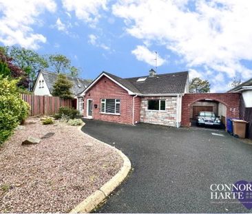 17 Park Avenue, Cookstown, BT80 8AH - Photo 2