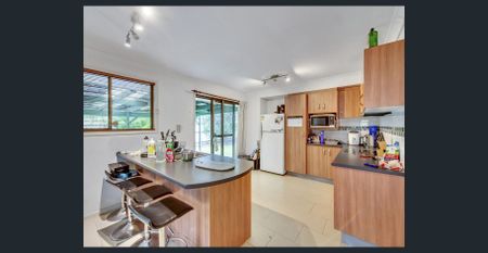 SPACIOUS FAMILY HOME WITH LARGE YARD + PRIVATE GATE TO PETER LIGHTFOOT OVAL - Photo 4