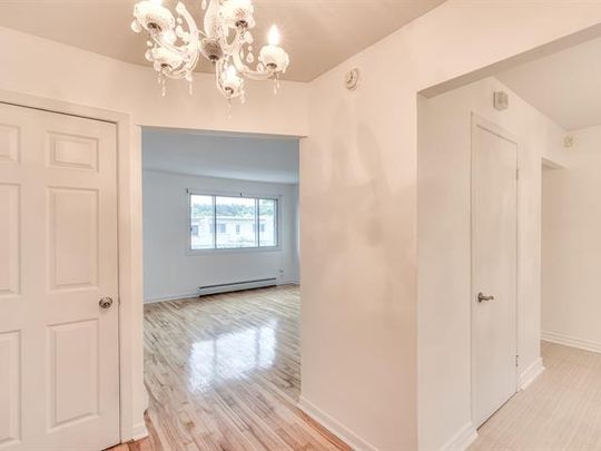 5565 Rue Desmarteau - Photo 1