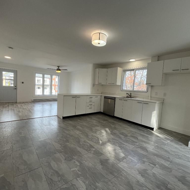 Beau grand 4 et demi lumineux et tranquille - Photo 1