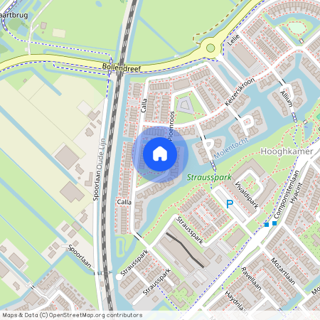 Pioenroos, 8, Voorhout