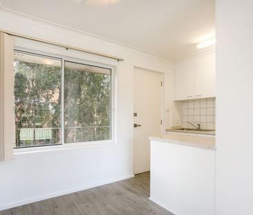 Dee Why, 7/80 Howard Avenue - Photo 5