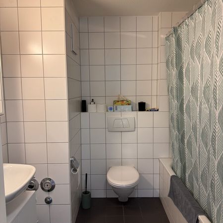 21/2 ZI-WOHNUNG IN ZÜRICH – KREIS 9 ALBISRIEDEN, FURNISHED, TEMPORARY - Foto 4
