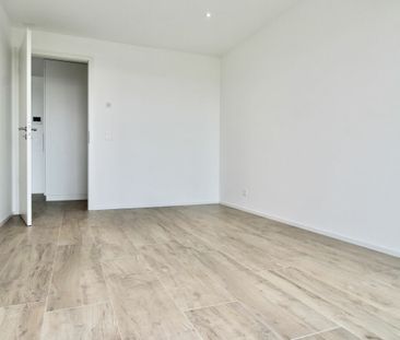 Appartement récent et lumineux de 2 pièces, avec vue et grande terr... - Photo 4