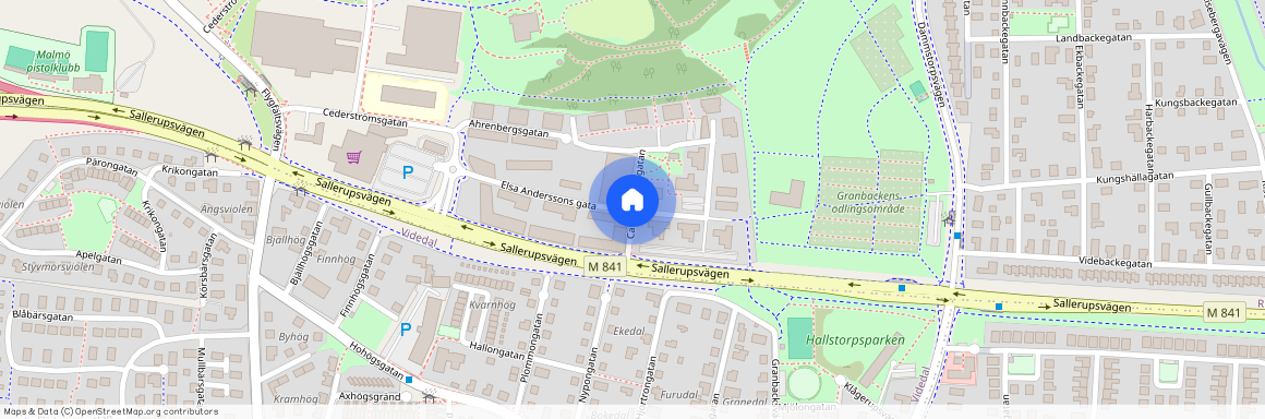 Carl Flormansgatan, Malmö