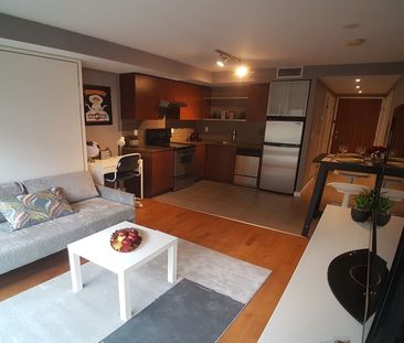 For Lease - 33 Lombard Street Unit# 314, Toronto, Ontario - Photo 2