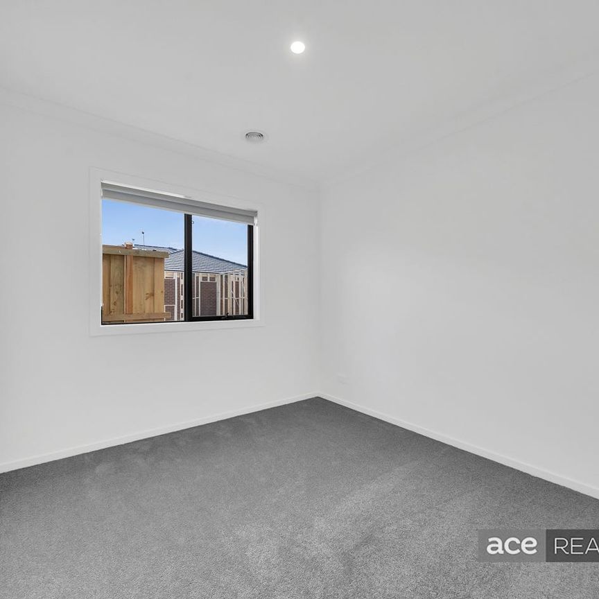 Immaculate Brand-New Family Home!! - Photo 1