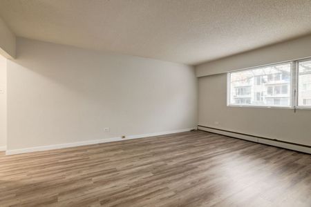 Renovated Suite - 1 Bedroom - Photo 5